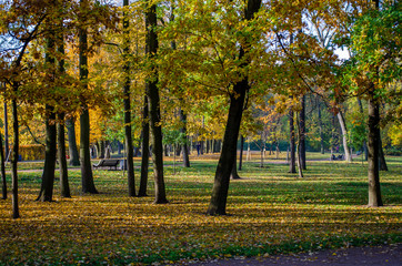 Autumn in the city Park