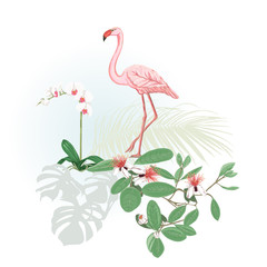 A composition of tropical plants, palm leaves