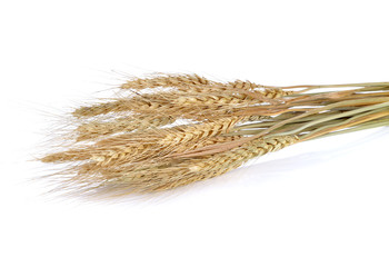 Barley rice on white