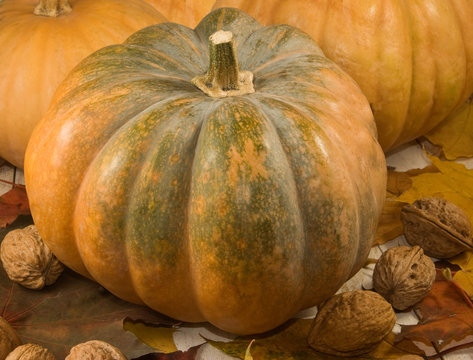 image of walnuts, pumpkins and autumn leaves close up