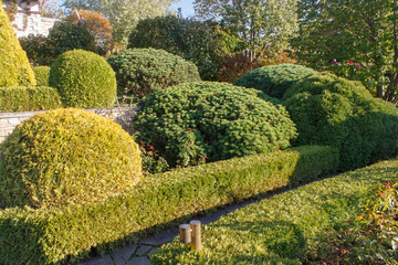 Fototapeta na wymiar Cottage garden with topiary and trimmed bushes.