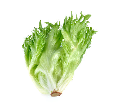 lettuce leaves isolated on white