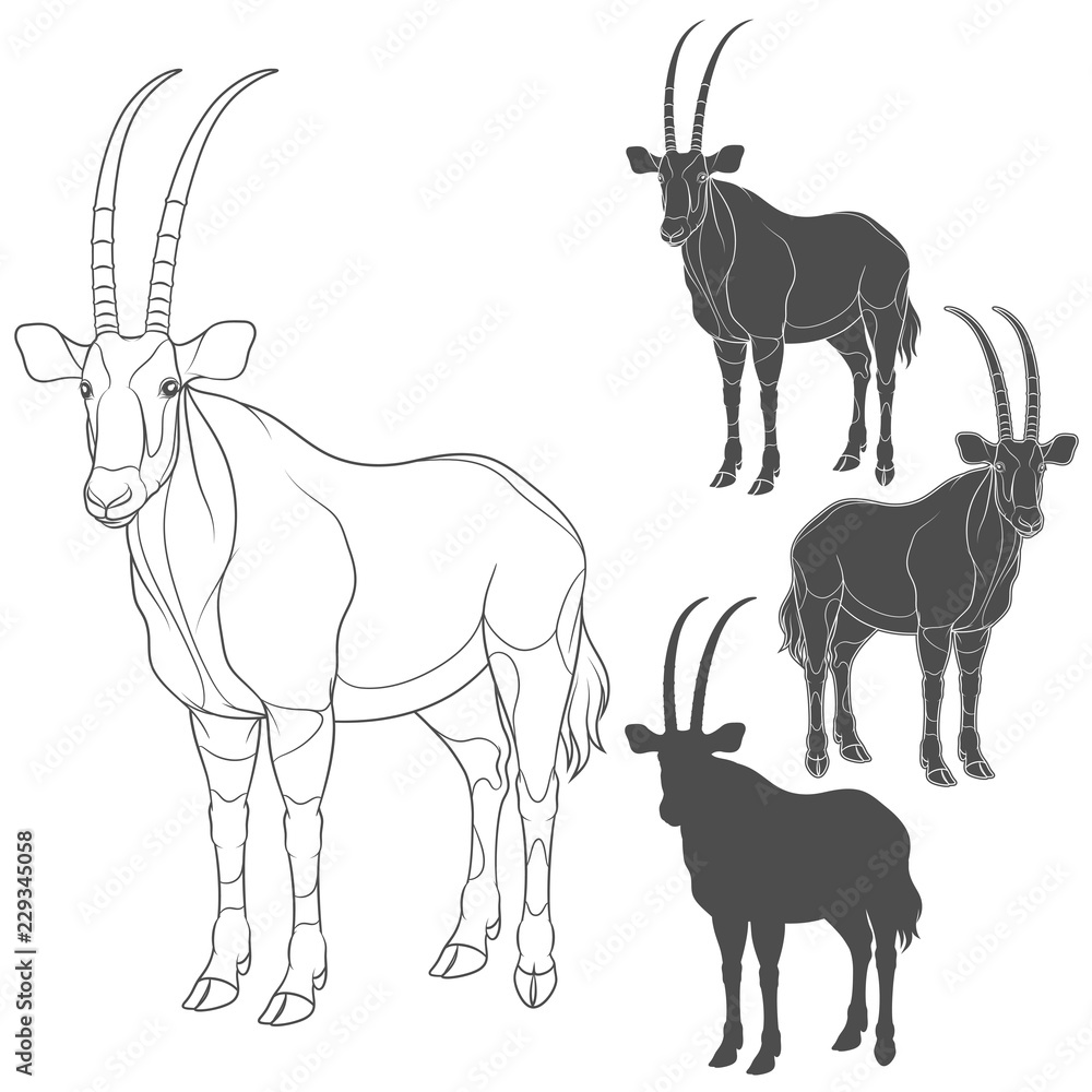 Aufkleber set of black and white illustrations with oryx antelope. isolated vector objects on white background