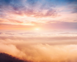 Impressive image of hills with coniferous trees in the morning light.