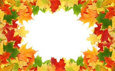 Fototapeta premium Frame with red and yellow maple leaves for your text.