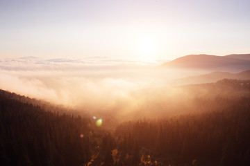 Naklejka na ściany i meble Scenic image of misty valley. Locations Carpathian national park, Ukraine.