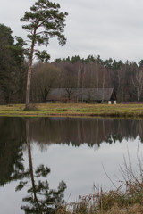 Fototapeta na wymiar pond in bavaria