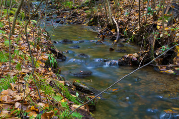 Long Exposure, Cool Fresh Water Spring In October