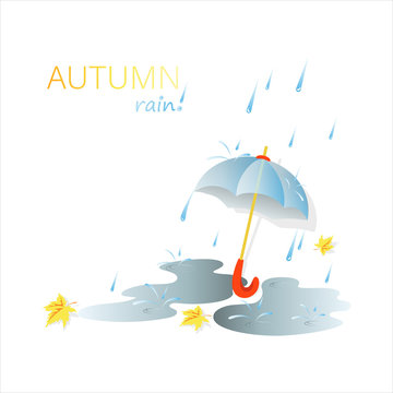 Autumn. Rainy day. Raindrops, umbrella and falling autumn leaves on a light background. Composition with space for text. Design for banner, poster, cover, booklet, card, advertising, calendar