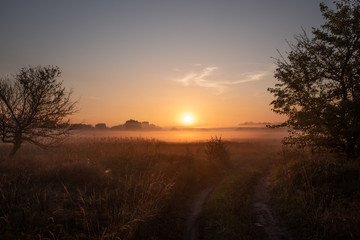 Fototapeta na wymiar autumn landscape with fog at sunrise
