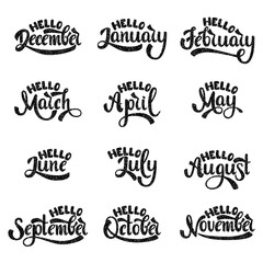 A set of month names. Hello January, February, March, April, May, June, July, August, September, October, November, December.  Handwritten Lettering. Text. Modern Calligraphy. Vector.