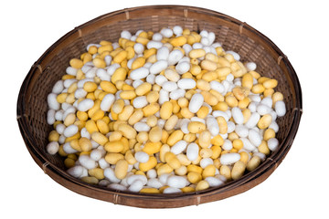 Yellow and white cocoons in basket isolated