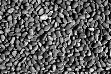 Pine nut pile close-up in black and white.