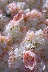 Wedding background of fresh flowers of white and pink roses
