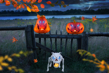Zwei lustige Halloween Kürbisse mit einem Tierskelett im Vordergrund nachts im Garten