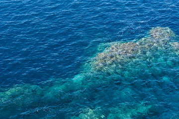 Rock in the clear water of Atlantic ocean