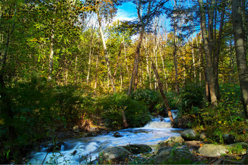 Autumn Waterfall Hardwood Forest Landscape