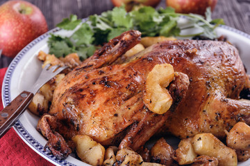 Baked duck with apples on a platter next to cilantro twigs are ready for dinner
