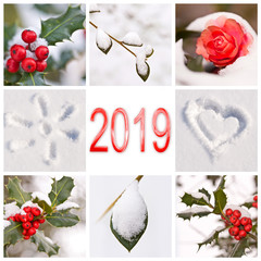2019, snow and winter red and white nature photos collage