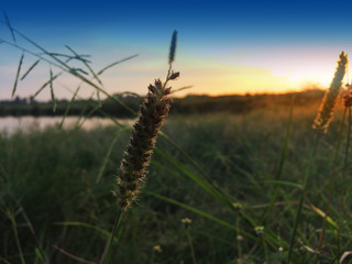 Sunset on evening beauty in nature