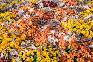 Landscape Design. Alpine slide in the park close up