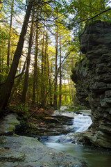 Scenic Forest Landscape Appalachian Mountains