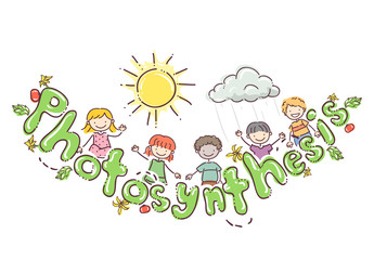 Obraz na płótnie Canvas Doodle Kids Photosynthesis Tomato Illustration