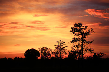 sunrise background color red sky 