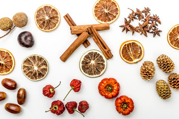 Autumn composition with slices of dried oranges, cinnamon, red strawberries, acorns, anise flower, pineapples and pumpkins, dried fruits. Study work, autumn concept