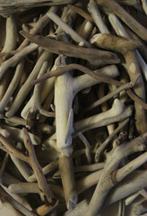 Driftwood sticks for art and decoration