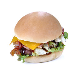 Delicious hamburger on white