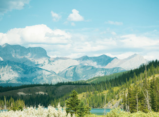 Blue and Green in Alberta