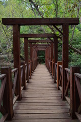 wooden bridge