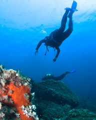 Scuba divers underwater in the deep blue sea.