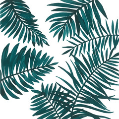 Turquoise and green tropical leaves. Graphic design with amazing palms. Fashion, interior, wrapping, packaging suitable. Floral jungle background. Exotic plant on stripes illustration.