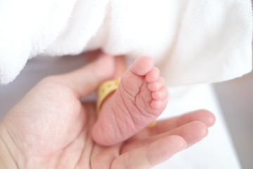 新生児の足