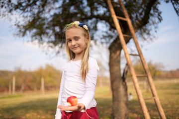 girl picking apples from the tree