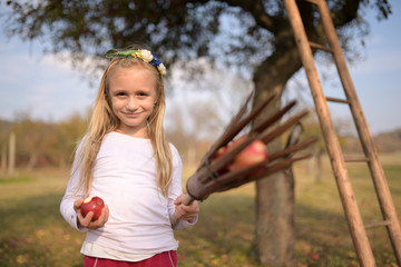 girl picking apples from the tree