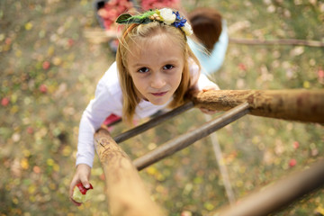girl picking apples from the tree