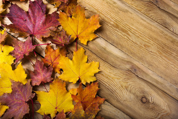 Fall rustic background with maple leaves, copy space