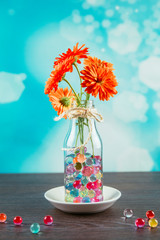 Water crystal gel or water beads is any gel which contains a large amount of water. Different color jelly water balls in flower vase, home decor concept. Blue bokeh background.