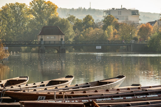 Angebundene Stocherk&auml;hne am Neckar in T&uuml;bingen
