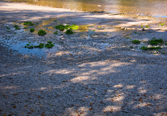 Kies und Laub mit kleinen Lichtspots am Fluss