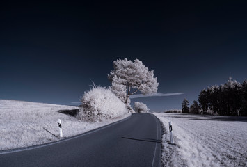 infrared photography - ir photo of landscape with tree under sky with clouds - the art of our world...