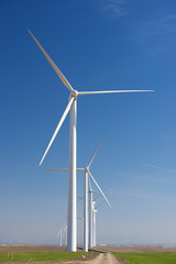 Fototapeta premium Wind energy concept