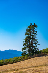 autumn in yokoteyama
