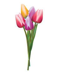 Bouquet of colorful tulips on a white. Realistic vector 3d illustration