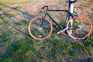 Fototapeta na wymiar Angebundenes Fahrrad auf Rasen