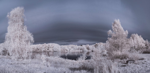 infrared photography - ir photo of landscape with tree under sky with clouds - the art of our world...
