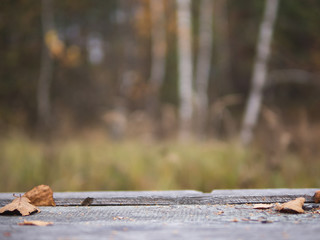 Wooden table on a background of autumn forest